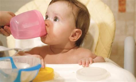 mama ile beslenen bebeklere su verilir mi